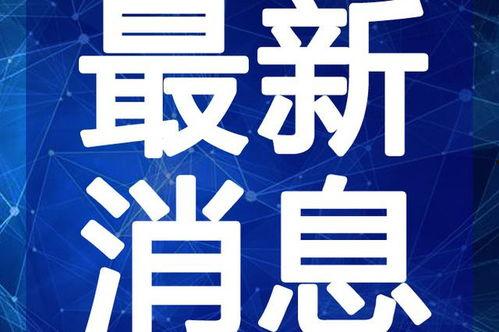 洛阳头条夜市爆料视频最新,灯火辉煌，美食狂欢，夜生活新地标！